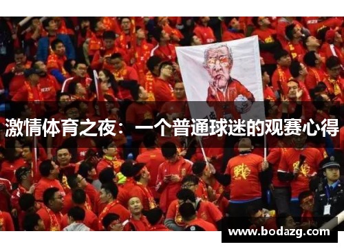 激情体育之夜：一个普通球迷的观赛心得